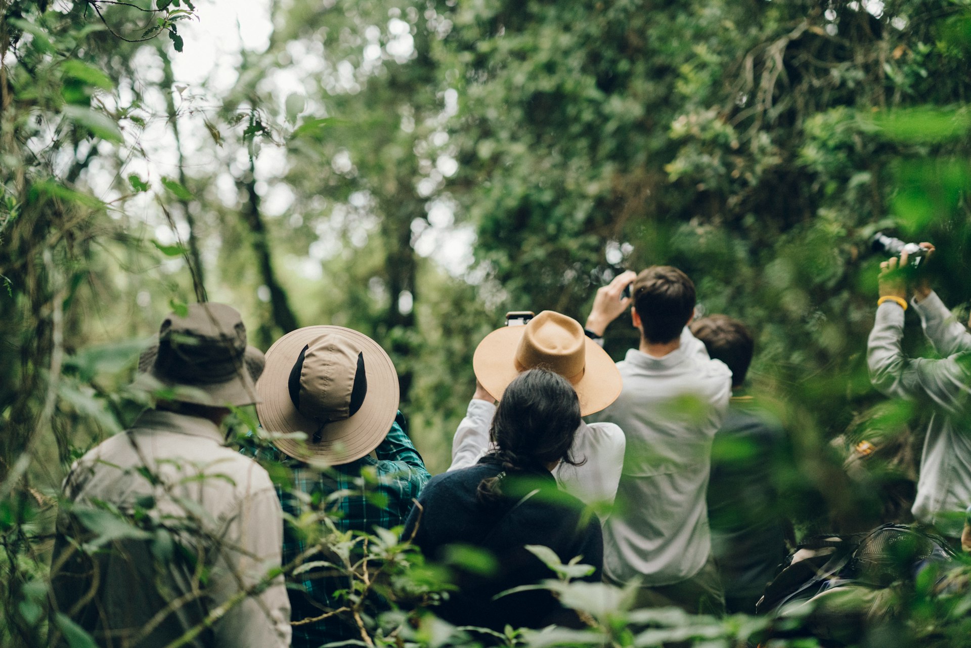 travelers talking pictures trees during daytime uganda