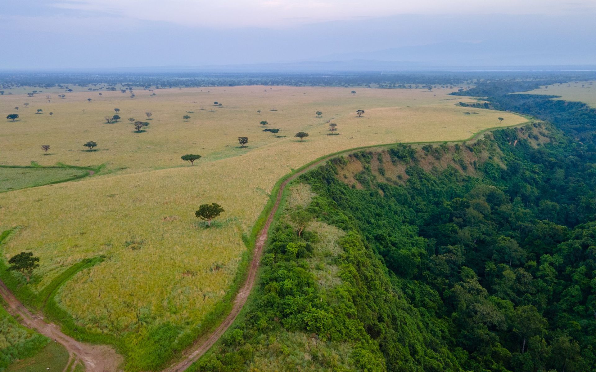 kyamura gorge chimpanzee tracking Uganda