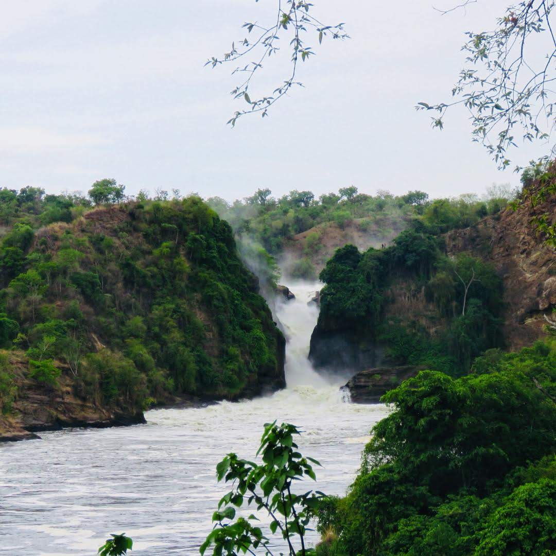 Murchison falls in Uganda 